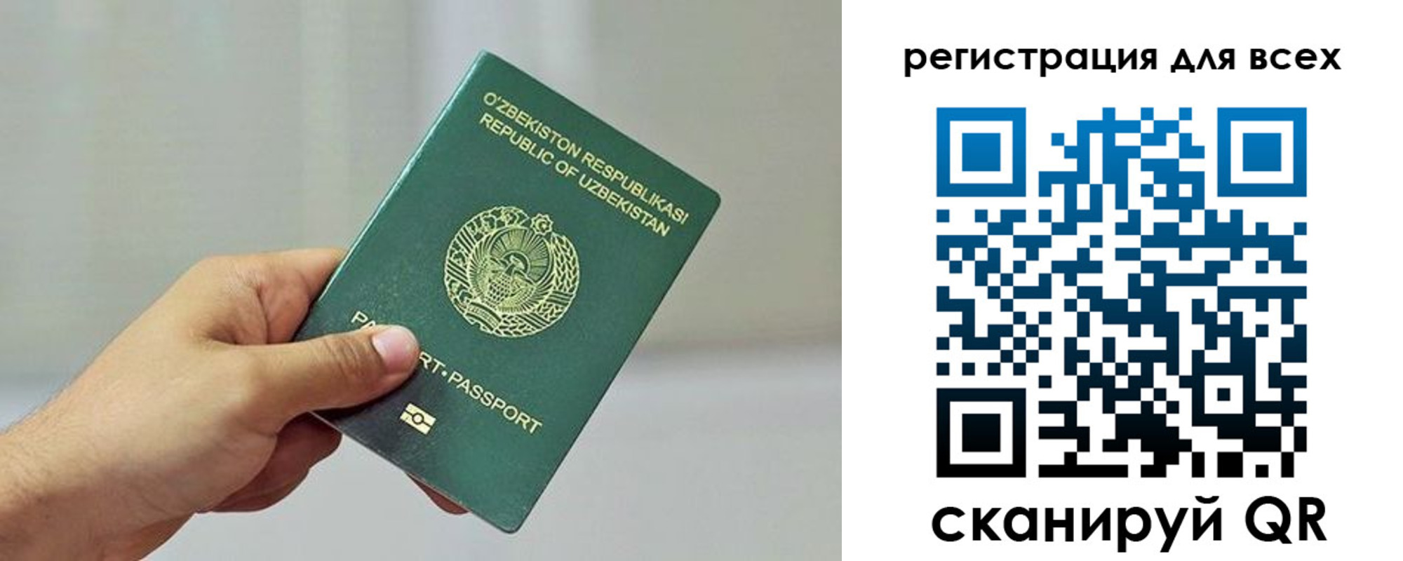 прописка ребенка в Кудрово
